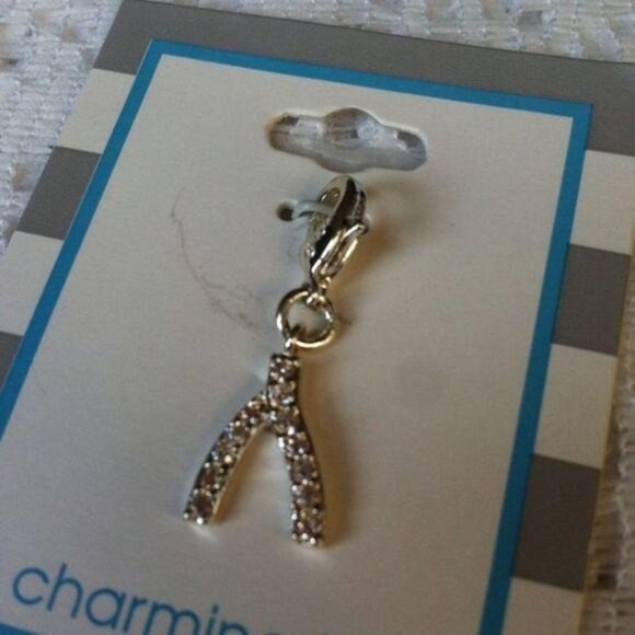 a charming idea Jewelry - A Charming Idea CZ Wishbone Charm New